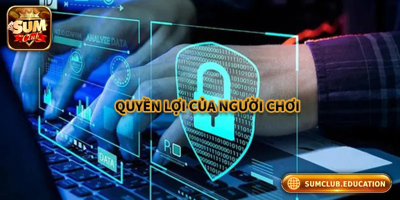 Quyền lợi của người chơi trong quyền kiểm soát dữ liệu cá nhân